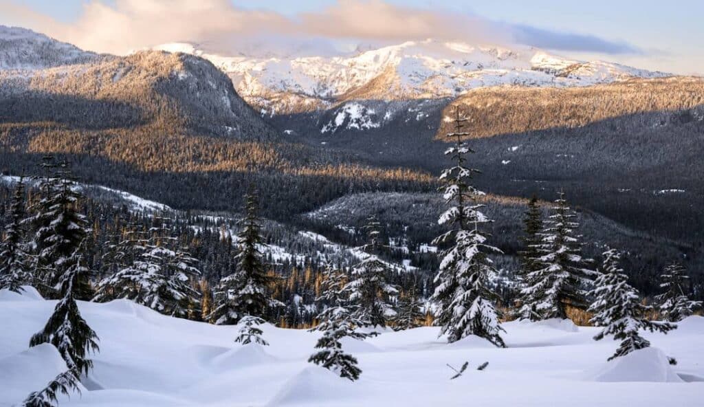 Mount Washington Alpine Resort