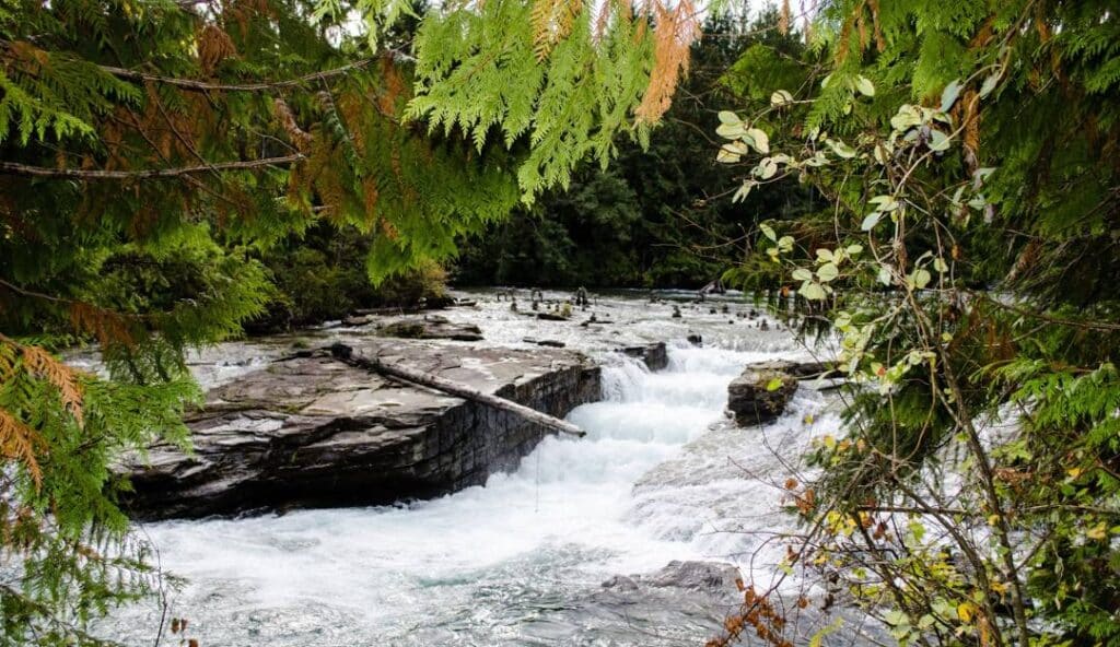 Nymph Falls Nature Park