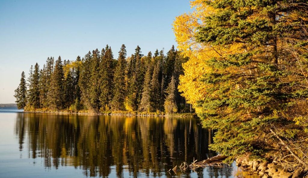 Prince Albert National Park